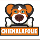 CHIENALAFOLIE